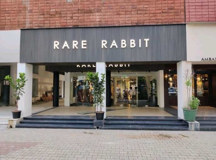 RareRabbit